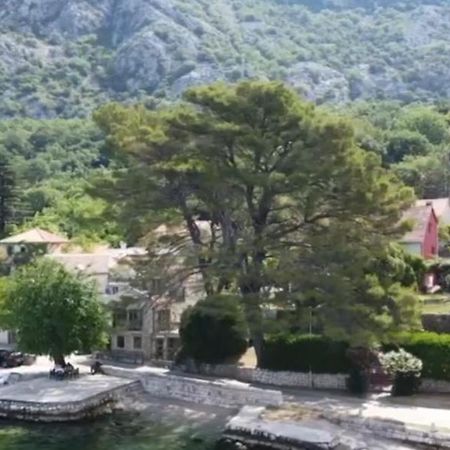 Apartment On The Shore Of The Bay Of Kotor With Free Wi-Fi מראה חיצוני תמונה
