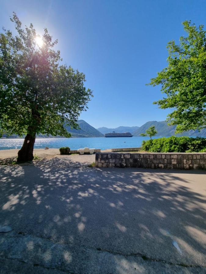 Apartment On The Shore Of The Bay Of Kotor With Free Wi-Fi מראה חיצוני תמונה