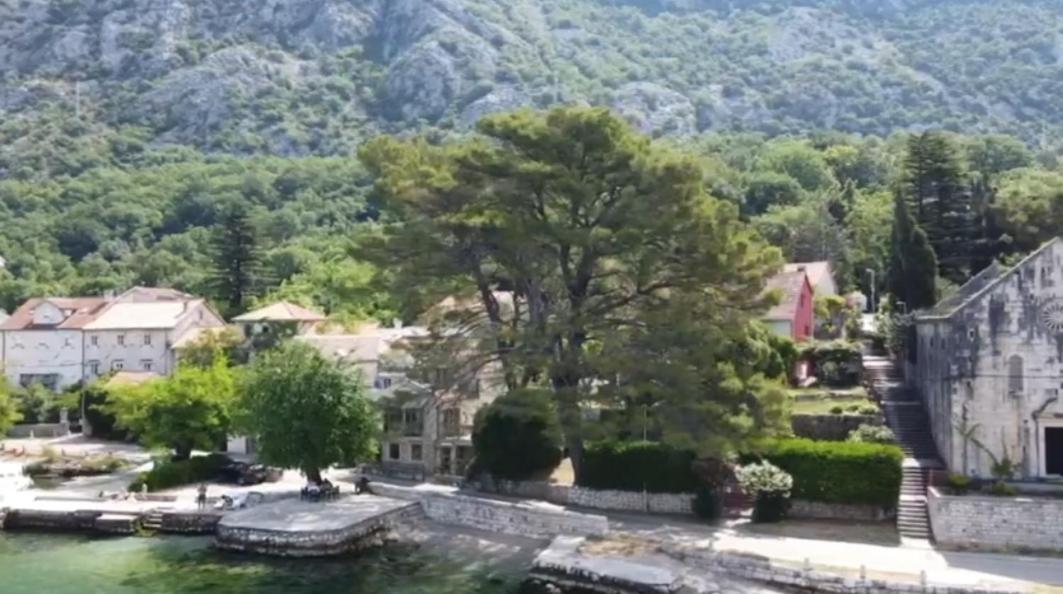 Apartment On The Shore Of The Bay Of Kotor With Free Wi-Fi מראה חיצוני תמונה
